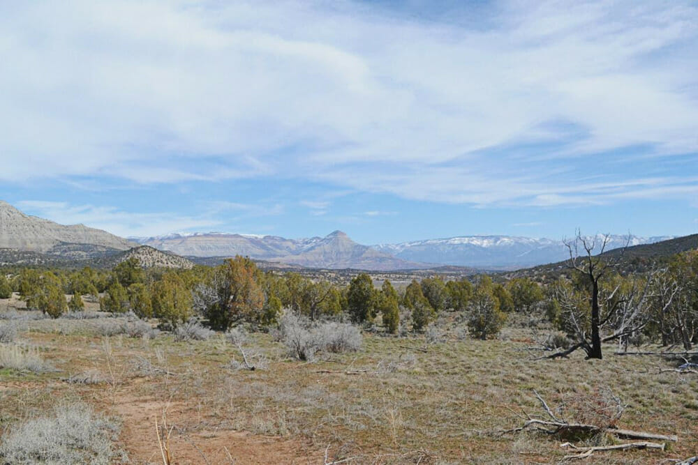 View of The High Lonesome Ranch
