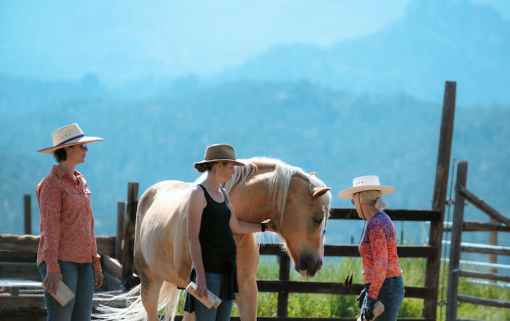 Women in Ranching, Western Colorado