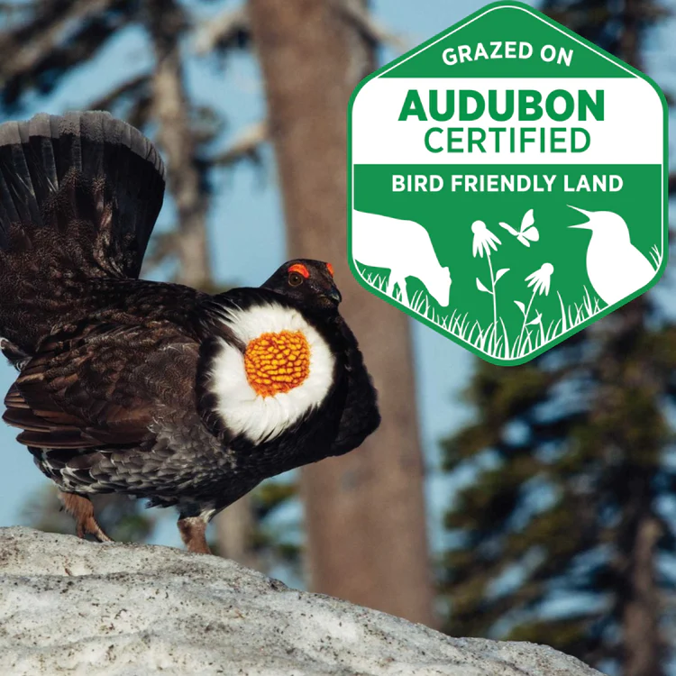 Our ranch is Certified Bird-Friendly by The Audubon Conservancy.